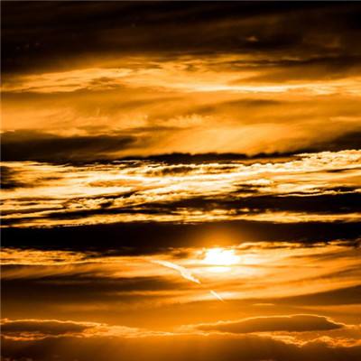 ManBetX客户端登录app下载截图